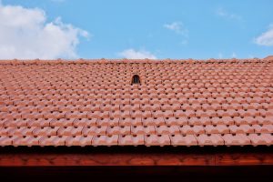 roof tiles